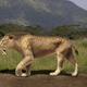 Illustration for article titled Were our earliest hominid ancestors hunted by saber-toothed tigers?
